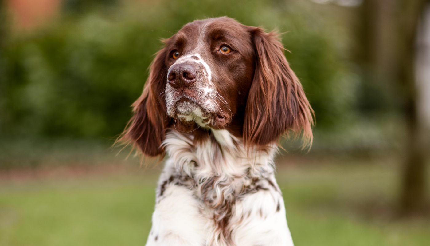 Billa_Portrait